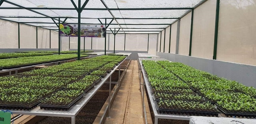 PRODUCTORAS